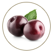 Cherry